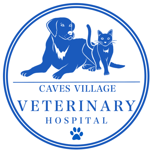 Caves Village Veterinary Hospital logo