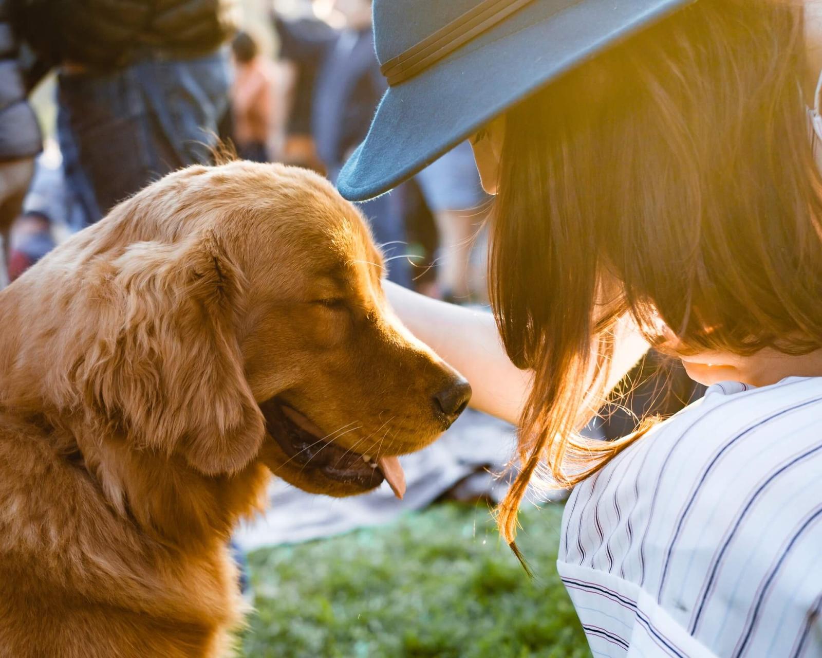 Golden retriever being petted by a girl in a hat – Noah's Ark Animal Centre