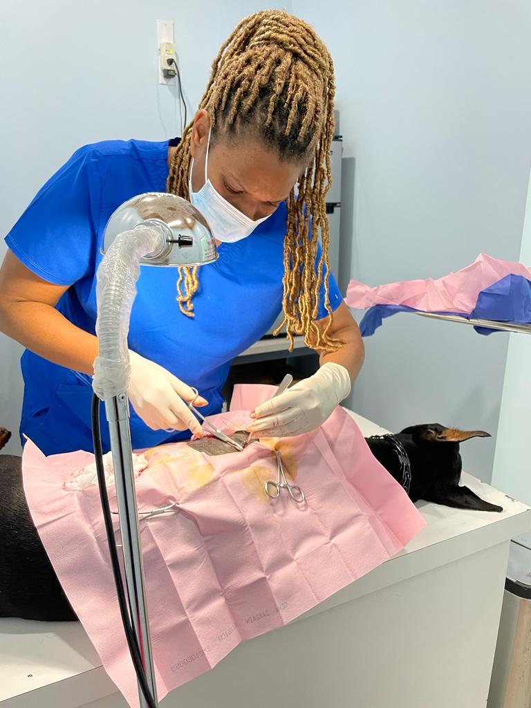 surgery
